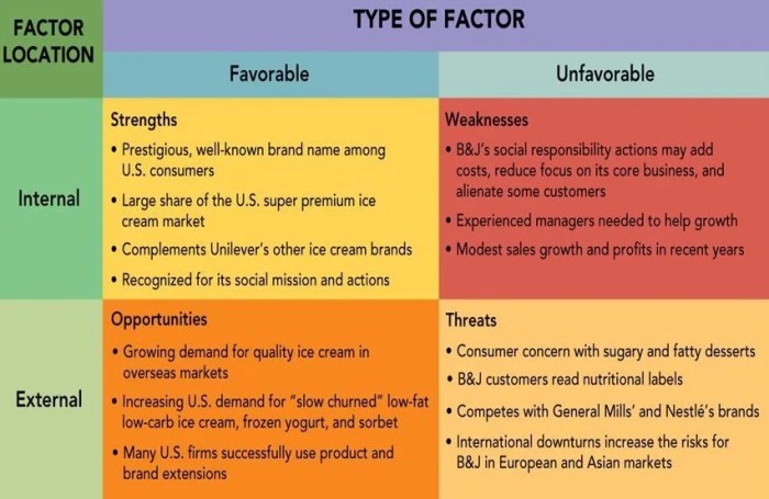 Ben and jerry's swot analysis