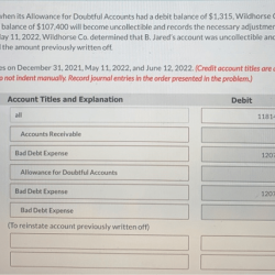 On december 31 2024 when its allowance for doubtful accounts