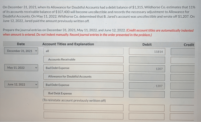 On december 31 2024 when its allowance for doubtful accounts